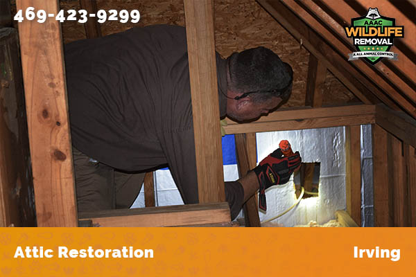 Attic Restoration Irving