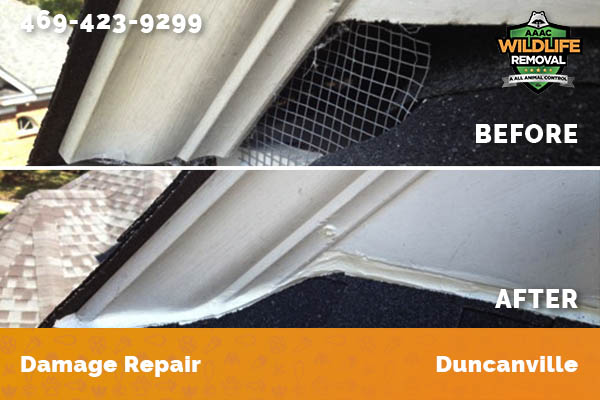 Damage Repair Duncanville