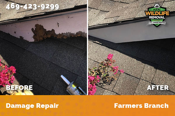 Damage Repair Farmers Branch