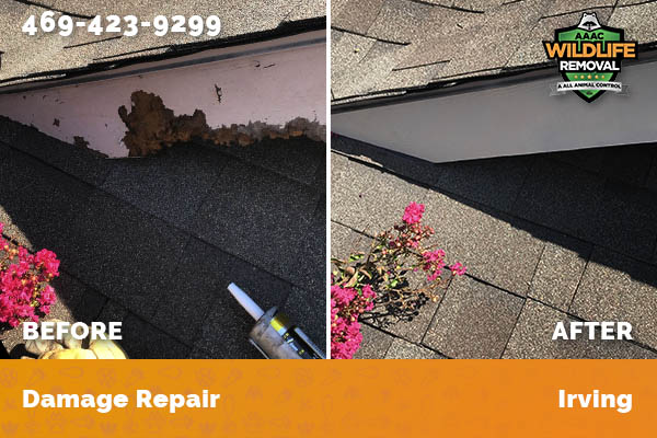 Damage Repair Irving