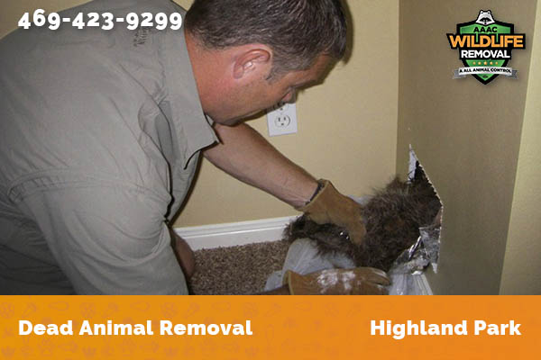 Dead Animal Removal Highland Park