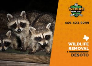 DeSoto Wildlife Removal professional removing pest animal