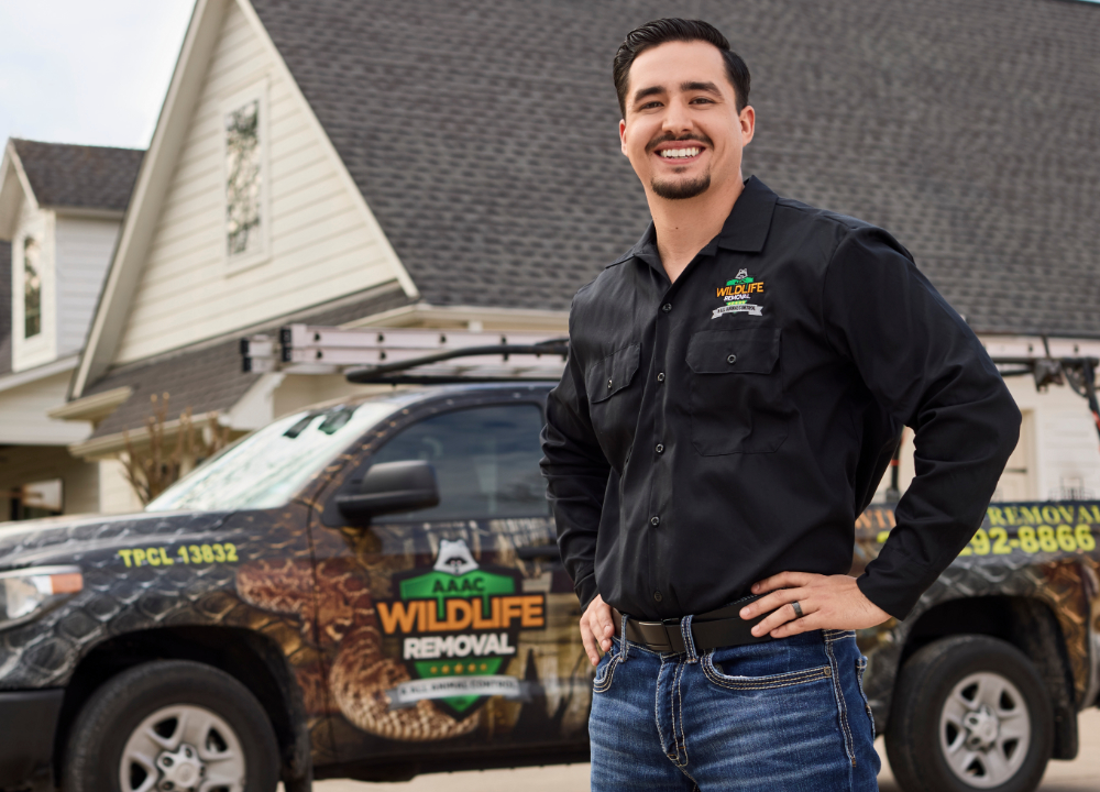 Dallas Wildlife Removal Services