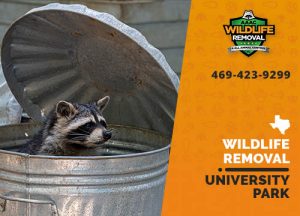 University Park Wildlife Removal professional removing pest animal